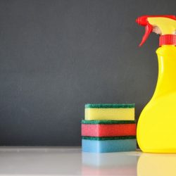 Spring Cleaning - Hold The Toxins