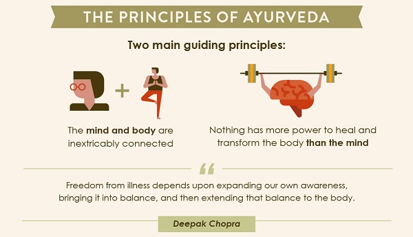 Principles Of Ayurveda - Shirley Plant